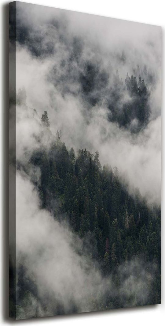  Tulup Obraz Na Płótnie 50x100 Obraz Canvas Chmura nad lasem 1