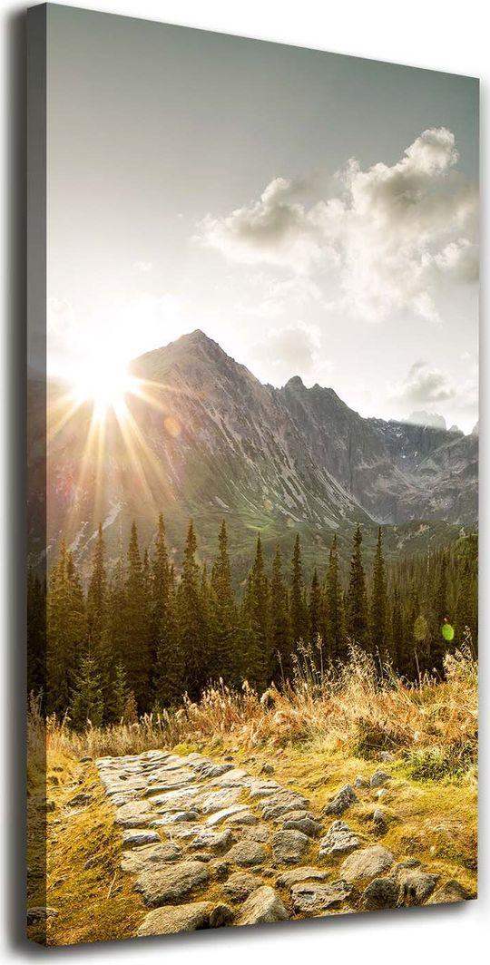  Tulup Obraz Na Płótnie 50x100 Obraz Canvas Zachód słońca Tatry 1