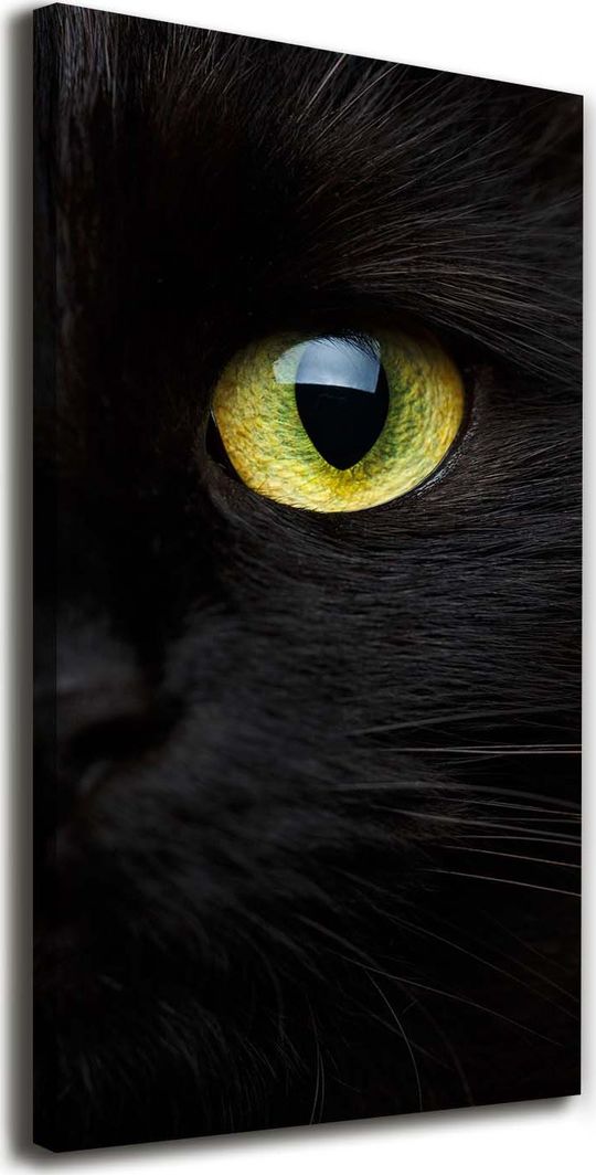  Tulup Obraz Na Płótnie 50x100 Obraz Canvas Oczy kota 1