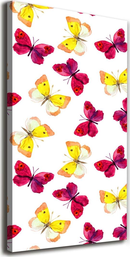  Tulup Obraz Na Płótnie 50x100 Obraz Canvas Kolorowe motyle 1
