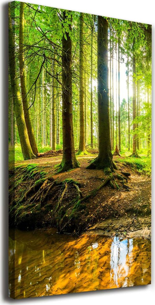  Tulup Obraz Na Płótnie 50x100 Obraz Canvas Strumień w lasie 1