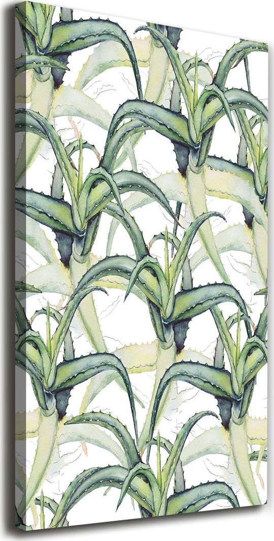  Tulup Obraz Na Płótnie 50x100 Obraz Canvas Aloes 1