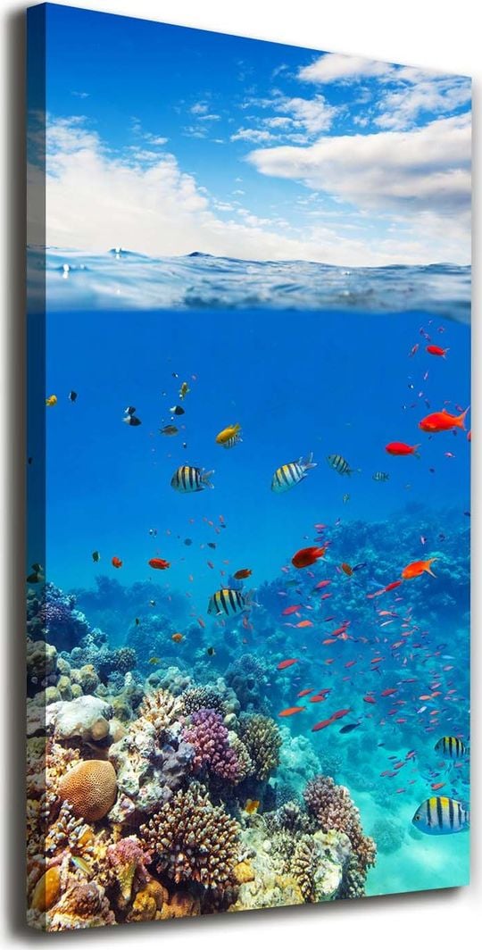  Tulup Obraz Na Płótnie 50x100 Obraz Canvas Rafa koralowa 1