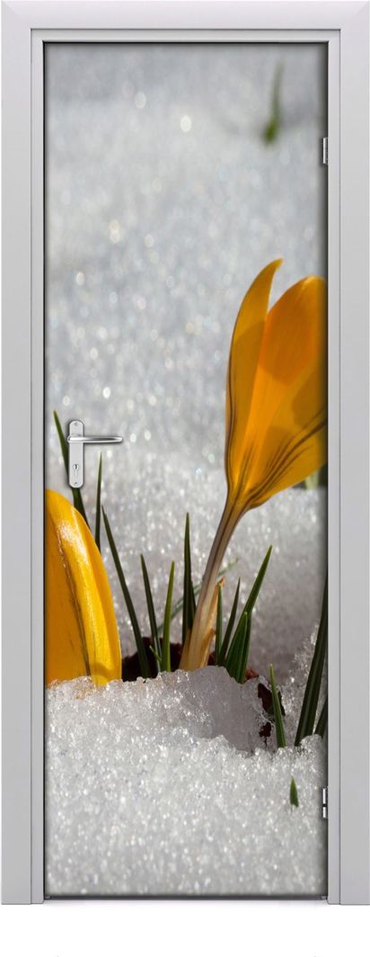 Tulup Fototapeta samoprzylepna na drzwi 75 x 205 cm żółte krokusy 1