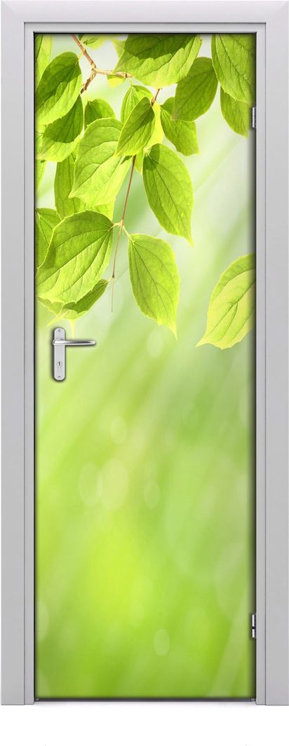  Tulup Fototapeta samoprzylepna na drzwi 75 x 205 cm zielone liście 1