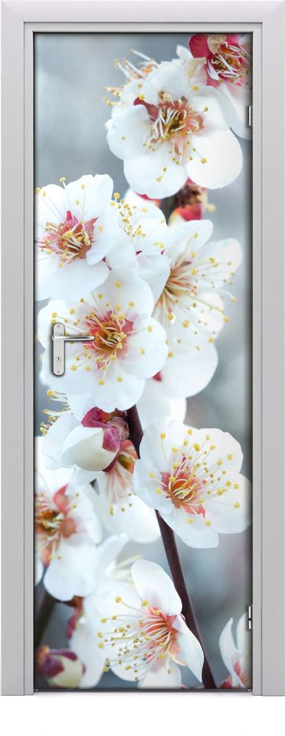  Tulup Fototapeta samoprzylepna na drzwi 75 x 205 cm kwiaty wiśni 1