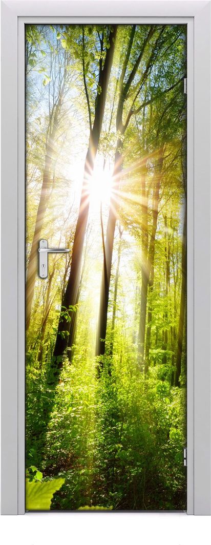  Tulup Fototapeta samoprzylepna na drzwi 75 x 205 cm Słońce w lesie 1