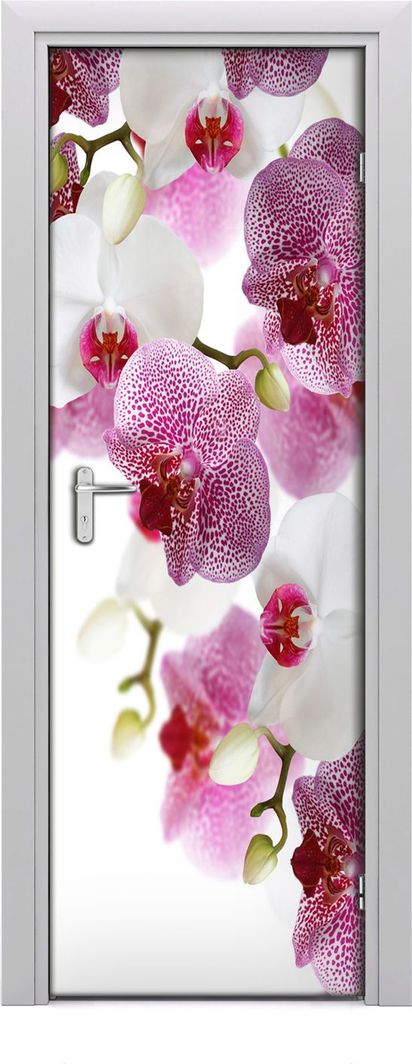  Tulup Fototapeta samoprzylepna na drzwi 75 x 205 cm orchidea 1