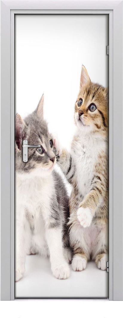  Tulup Fototapeta samoprzylepna na drzwi 75 x 205 cm Dwa małe koty 1