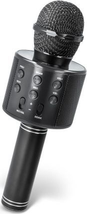 Mikrofon MaxLife  MX-300 1