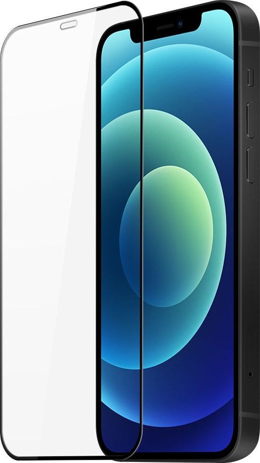 Dux Ducis Szkło Hartowane 10D 9H Dux Ducis iPhone 12 mini 1