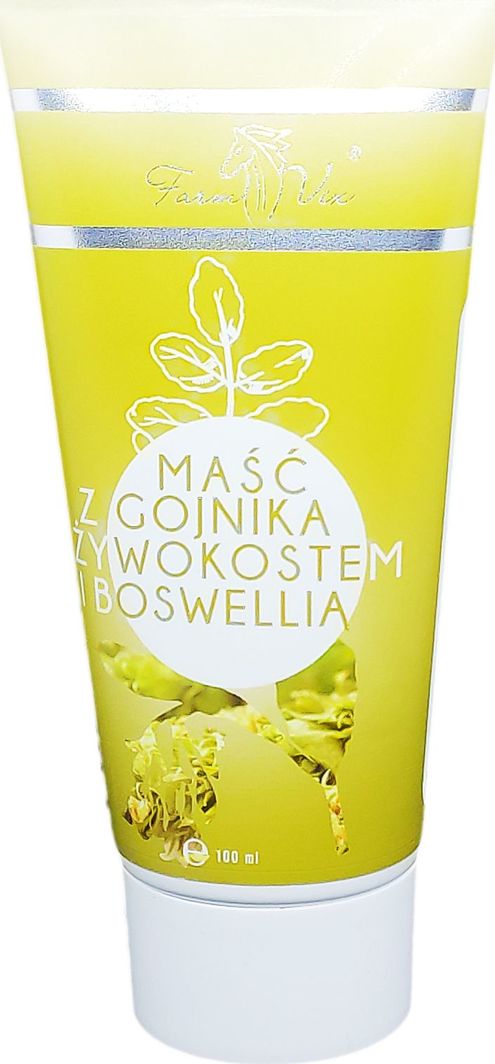 Farm-Vix Maść Z Gojnika Z Żywokostem I Boswellią W Tubie 100Ml Farm-Vix 1