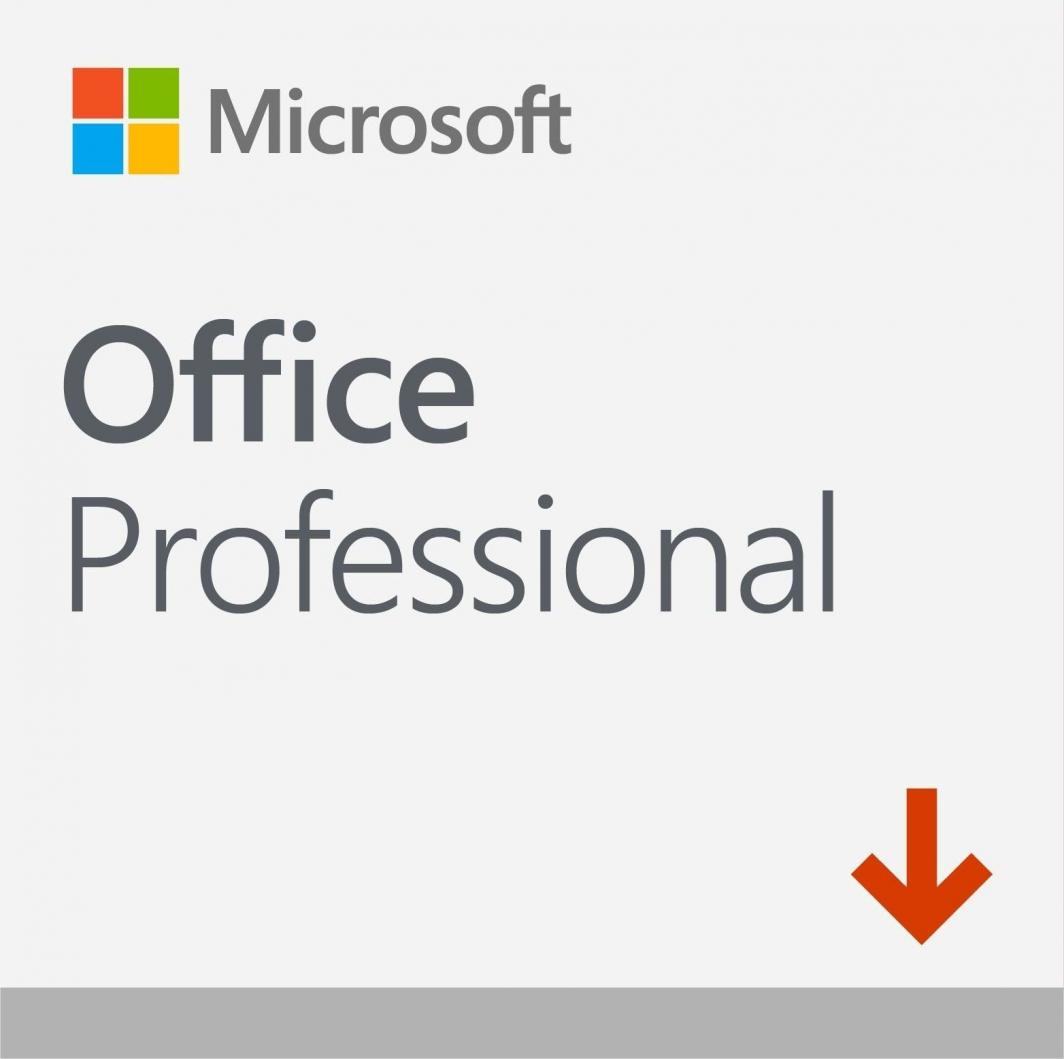 Microsoft Office Professional 2019 (269-16805) 1