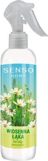 Carmotion SENSO Home Scented Spray 300 ml Wiosenna Łąka 1
