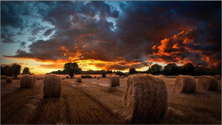 Monitor Samsung VM55T-U (LH55VMTUBGBXEN) 1