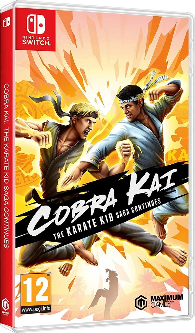 Cobra Kai The Karate Kid Saga 1