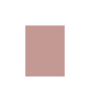 Astor  Pure Color Perfect Blush W 3,2g 008 Brown Berry 1