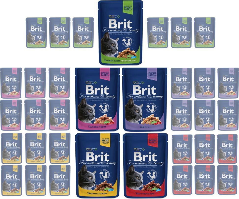 Brit Cat Mix smaków 30x100g 1