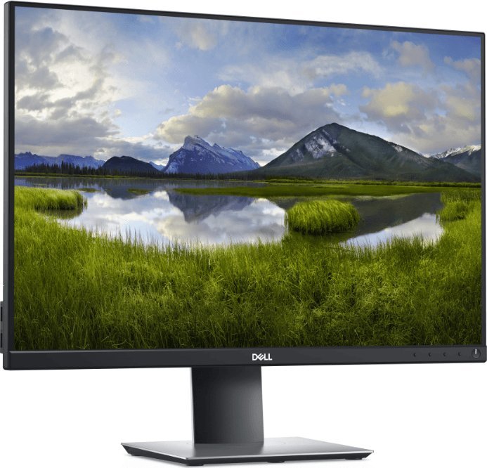 Monitor Dell Monitor LED Dell 24" P2421 1