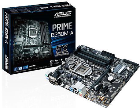 Asus PRIME B250M-A - Płyta główna - Morele.net