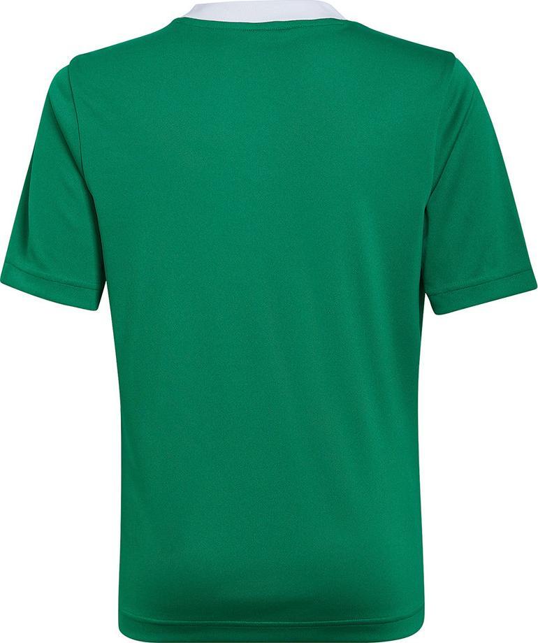 Adidas Koszulka adidas ENTRADA 22 JSY Y HI2126 HI2126 zielony 140 cm 1