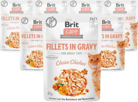 Brit Brit Care Cat z kurczakiem 12x85g 1