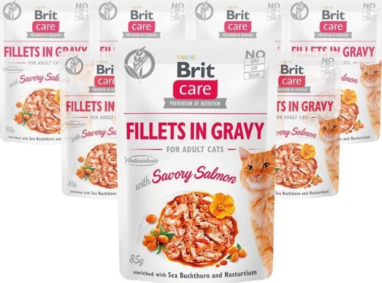 Brit Brit Care Cat z łososiem 12x85g 1