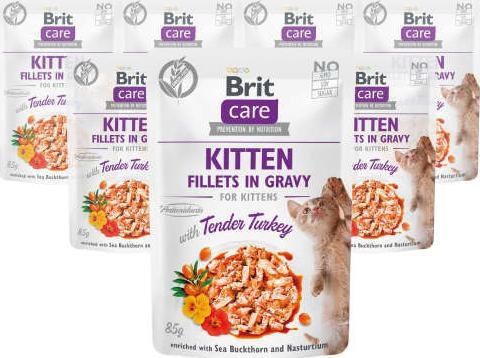 Brit Brit Care Cat Kitten z indykiem 12x85g 1
