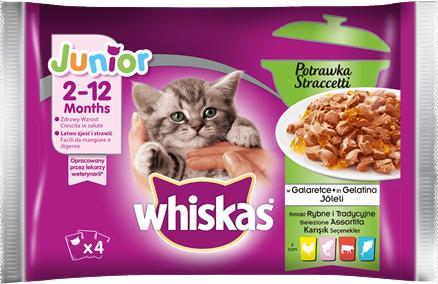 Whiskas Whiskas Junior Potrawka Tradycyjne Smaki w galaretce 4x85g 1