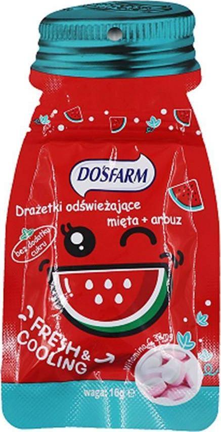 Guangdong Xinle Foods Drażetki odświeżające mięta + arbuz 16 g 1