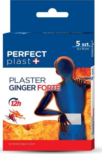 Eurus Plaster Ging Forte 6 x 10 cm 5 szt. 1