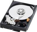 Dysk WD 3.5"  (WD6400AAKS)