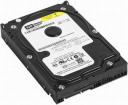 Dysk WD 500 GB 3.5" SATA II (WD5000AAKS)