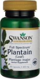  Swanson Babka zwyczajna FS Plantain Leaf 400mg 60 kapsułek SWANSON