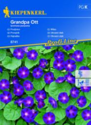 Kiepenkerl Wilec Grandpa Ott Kiepenkerl