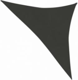 vidaXL Żagiel przeciwsłoneczny, 160 g/m, antracytowy, 4x4x5,8 m, HDPE