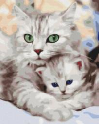  Symag Obraz Malowanie po numerach - Kocia mama
