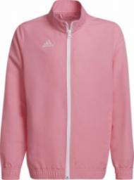  Adidas Bluza dla dzieci adidas Entrada 22 Presentation Jacket różowa HC5037 : Rozmiar - 164cm