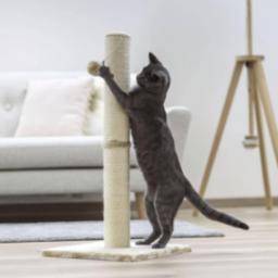  Kerbl Kerbl Drapak dla kota Opal Maxi, 78 cm, beżowy