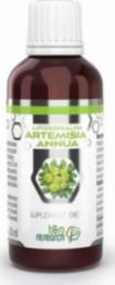  BOTANICAL RESEARCH B&M Artemisia Annua liposomalna 50 ml