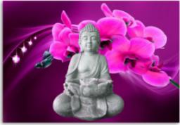  CaroGroup Buddha OBRAZ DEKORACYJNY Różowa Orchidea 100x70