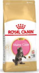  Royal Canin FBN Maine Coon Kitten - sucha karma dla kociąt - 10kg