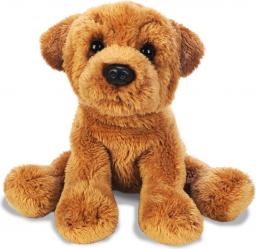 Suki Siedzący Shar Pei