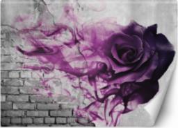  Feeby FOTOTAPETA 3D Mur Cegła Fioletowa Róża 368x254