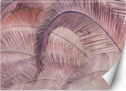  CaroGroup FOTOTAPETA 3D Liście Palmy Beton Różowy 350x245