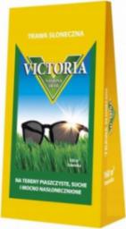 Flora Trawa nasiona Victoria słoneczna na suche tereny 4kg