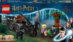  LEGO Harry Potter Testrale i kareta z Hogwartu™ (76400)