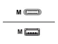 Kabel USB PARAT USB-A - 0.4 m Biały (990.554-999)