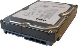 Dysk serwerowy Dell 1TB 3.5'' SATA III (6 Gb/s)  (FNW88)