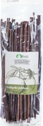Tivo TIVO GALAZKI JABLONI 100G 6061